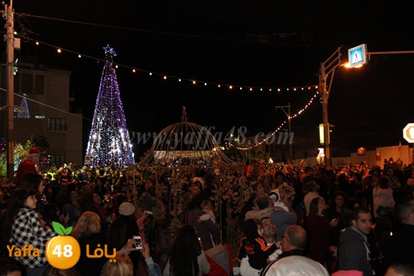 tree milad shajara (65).JPG